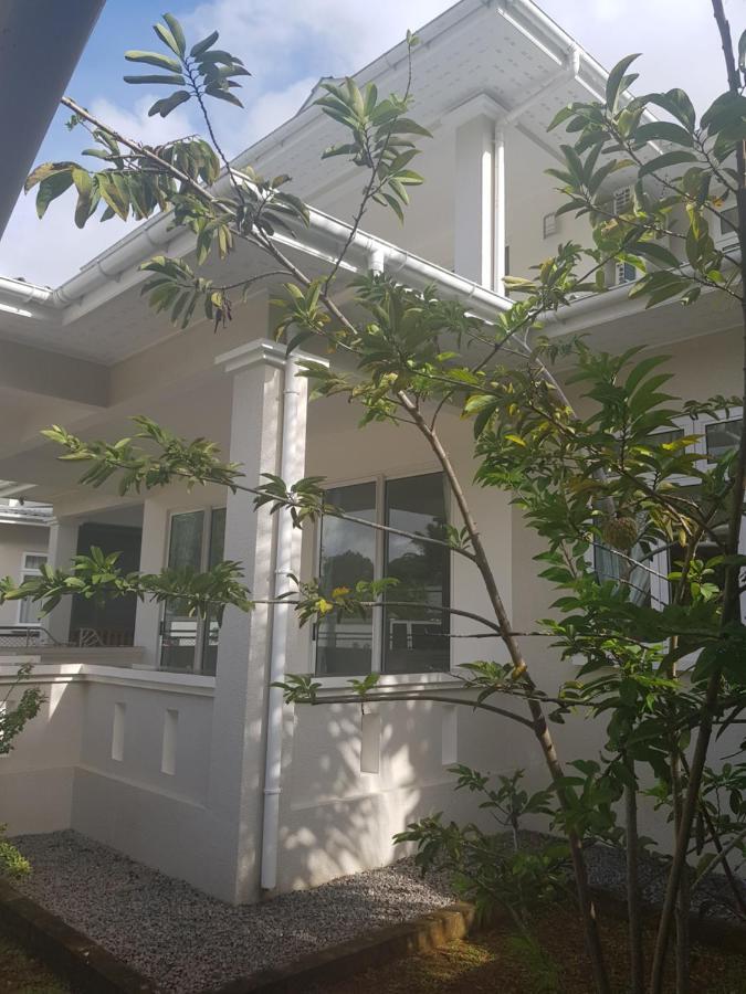 Maison Cattleya Selfcatering Apartment Anse Royale Eksteriør bilde